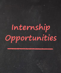 internship opportunities